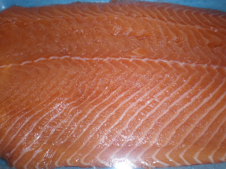 Een verse zalmfilet