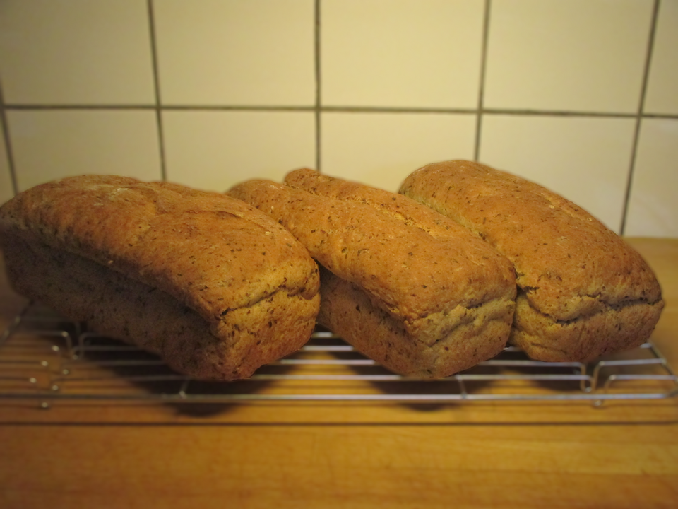 Drie zelfgebakken volkorenbroden op een wit bord